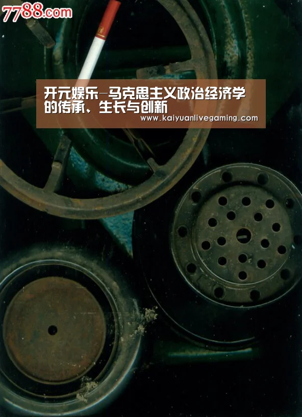 开元娱乐-马克思主义政治经济学的传承、生长与创新(图4) 开元赛事