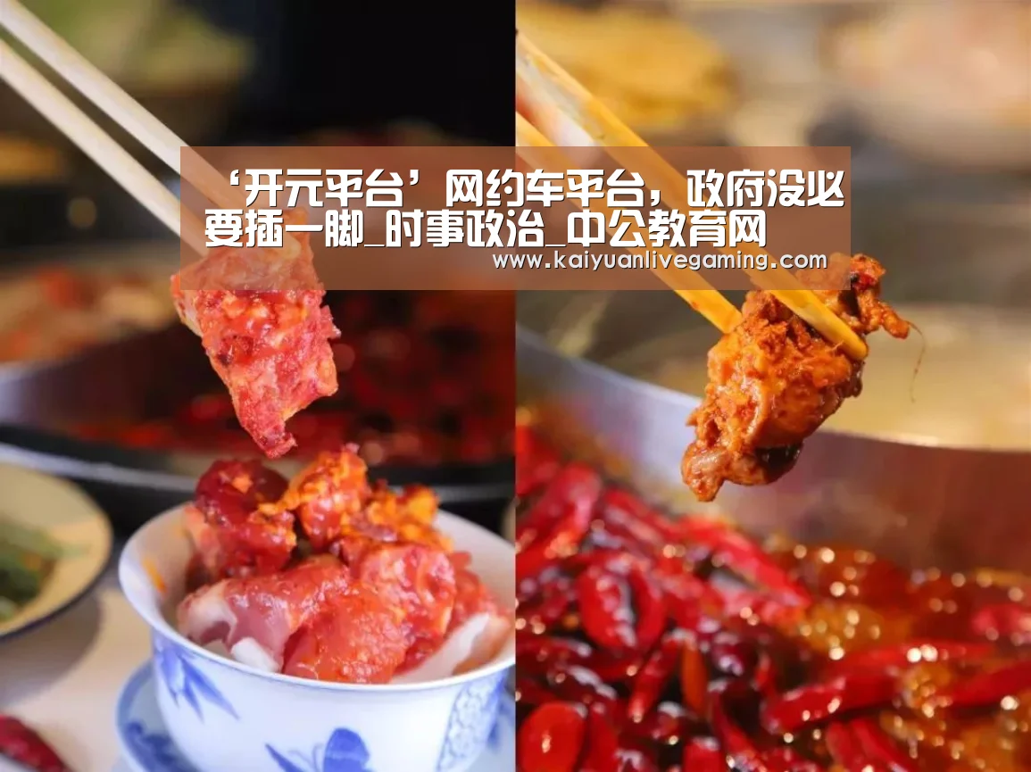 ‘开元平台’网约车平台,政府没必要插一脚_时事政治_中公教育网(图4) 开元平台