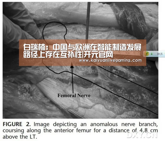 白瑞楠:中国与欧洲在智能制造发展路径上存在互补性|开元官网(图4) 开元赛事