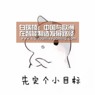 白瑞楠:中国与欧洲在智能制造发展路径上存在互补性|开元官网(图3) 开元官网