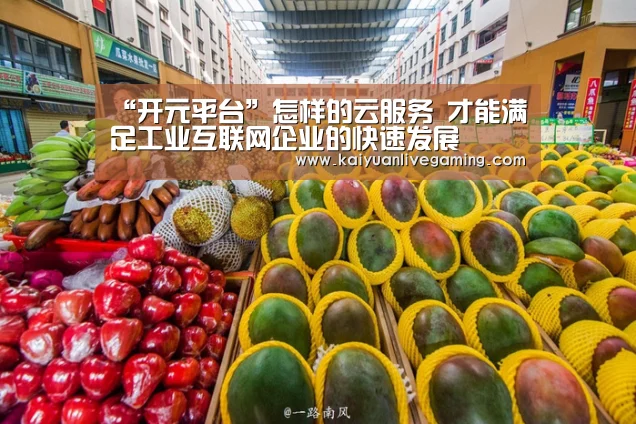 “开元平台”怎样的云服务 才能满足工业互联网企业的快速发展(图1) 开元平台
